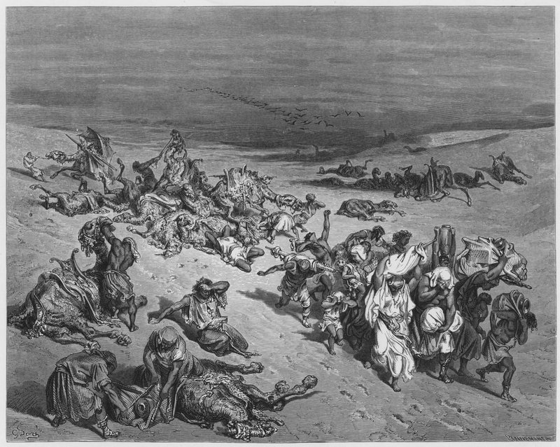 Gustave Dore Bibelen: Dyrenes Murrain af Gustave Dore