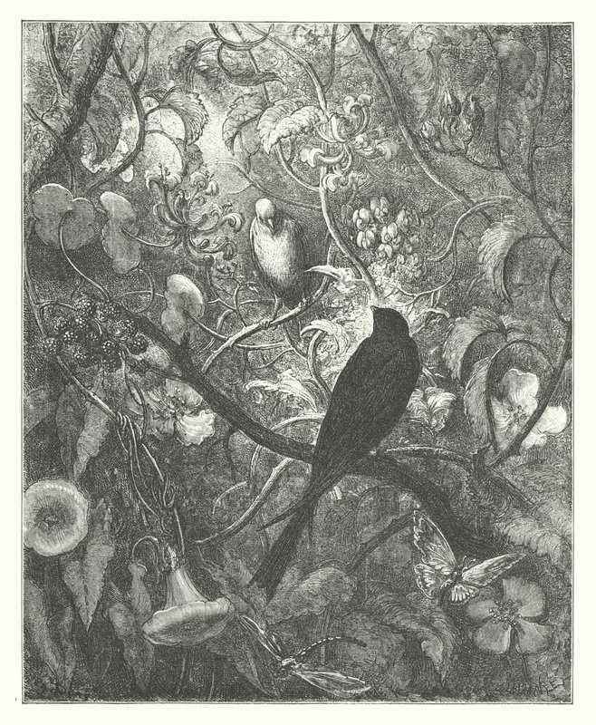 La Fontaines fabler: Philomel og Progne (kobberstik) af Gustave Dore