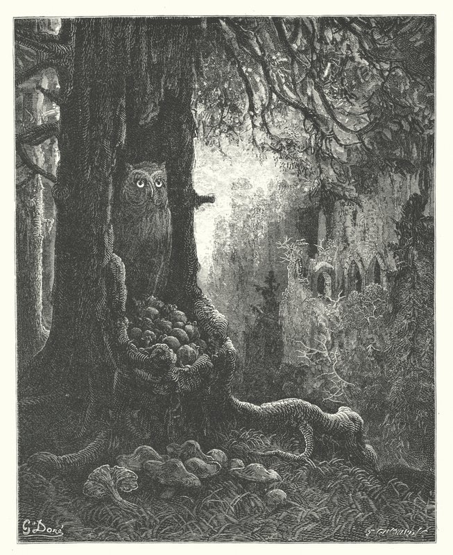 La Fontaines fabler: Uglen og musene (kobberstik) af Gustave Dore