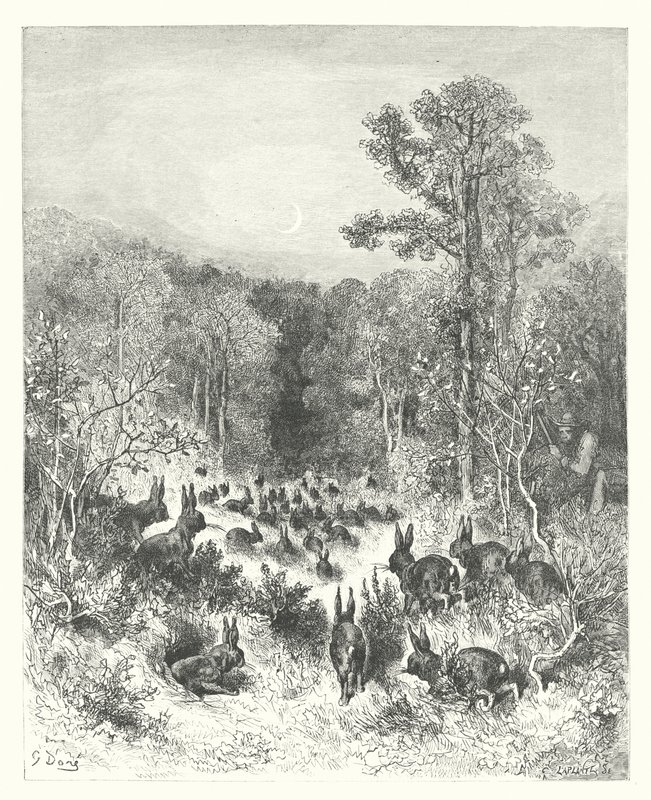 La Fontaines fabler: Kaninerne (kobberstik) af Gustave Dore