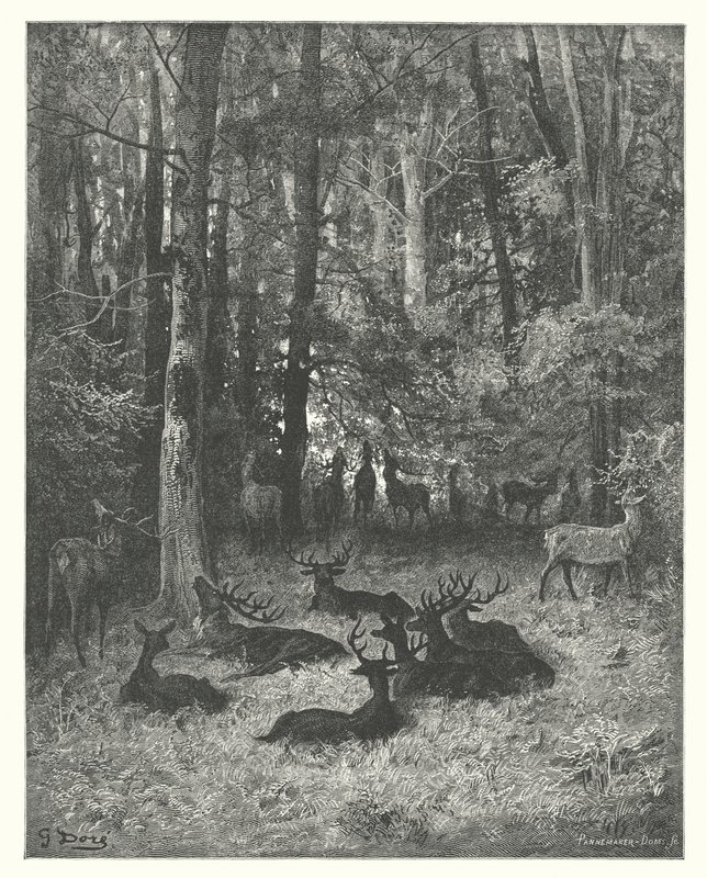 La Fontaines fabler: Den syge hjort (kobberstik) af Gustave Dore