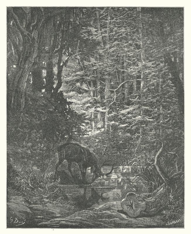 La Fontaines fabler: Hjorten, der ser sig selv i strømmen (stik) af Gustave Dore