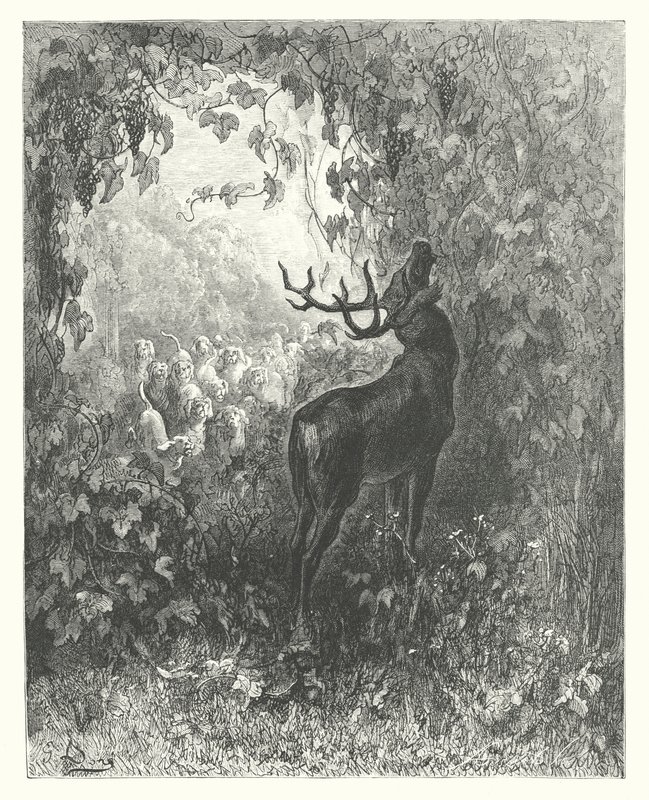 La Fontaines fabler: Hjorten og vinstokken (kobberstik) af Gustave Dore