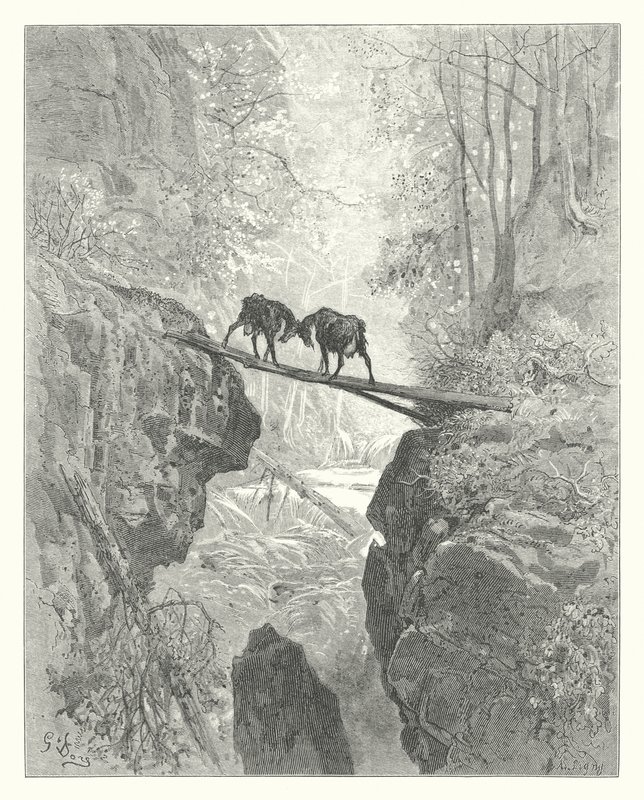 La Fontaines fabler: De to geder (kobberstik) af Gustave Dore