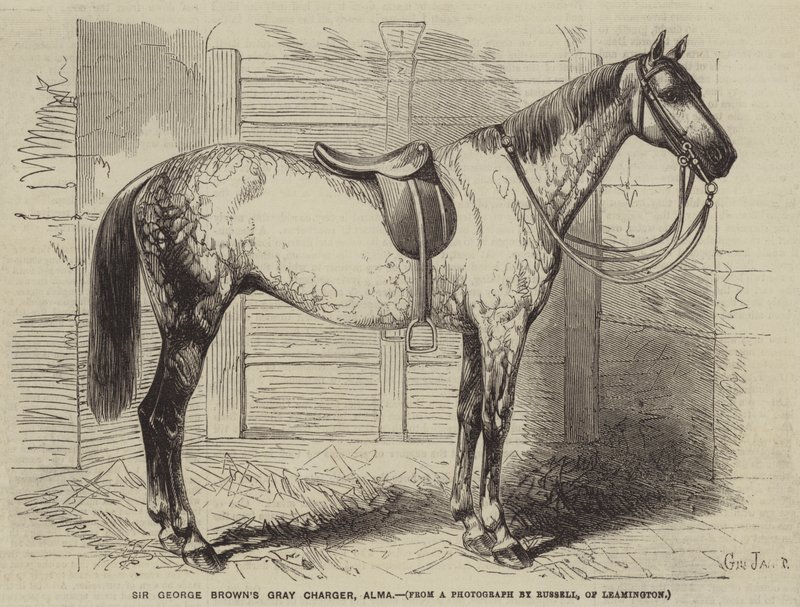 Sir George Browns Grey Charger, Alma af Gustave Janet