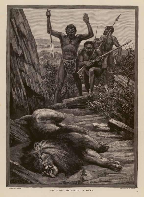 Løvejagt i Afrika (kobberstik) af H. Dixon