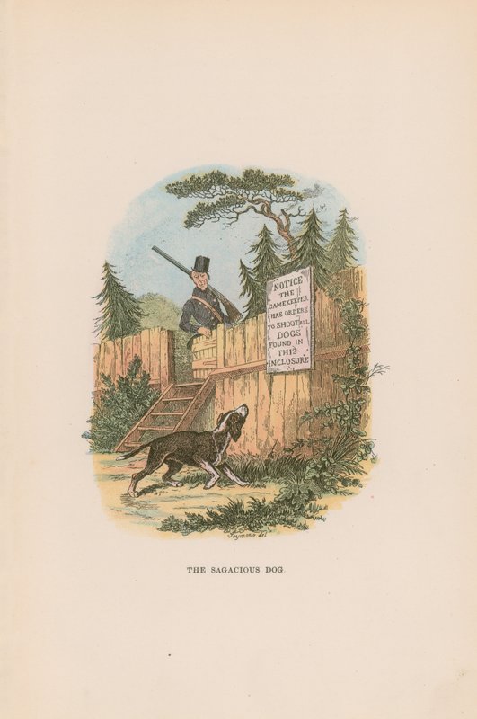 Illustration til Pickwick Papers af Hablot Knight Browne