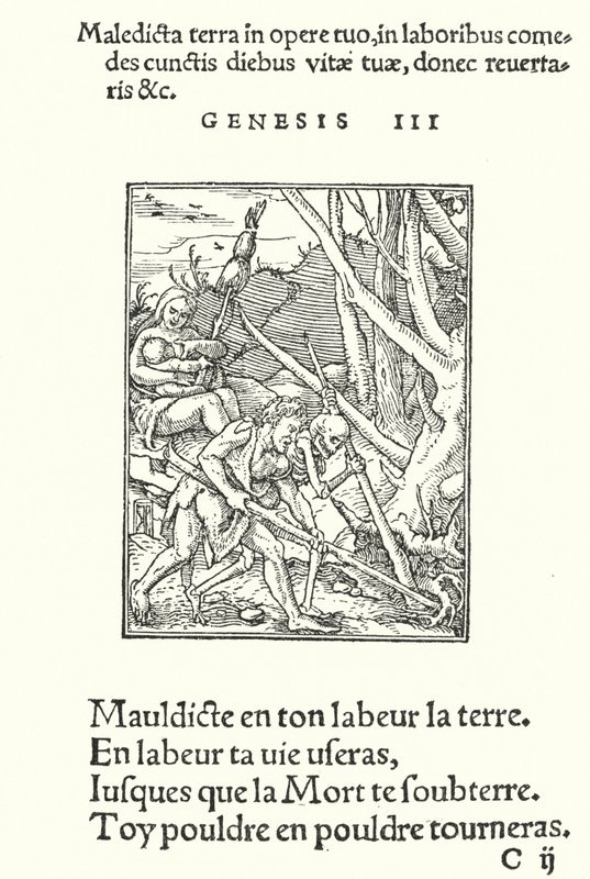 Forbandelsen over jorden og mennesket (gravering) af Hans (after) Holbein the Younger