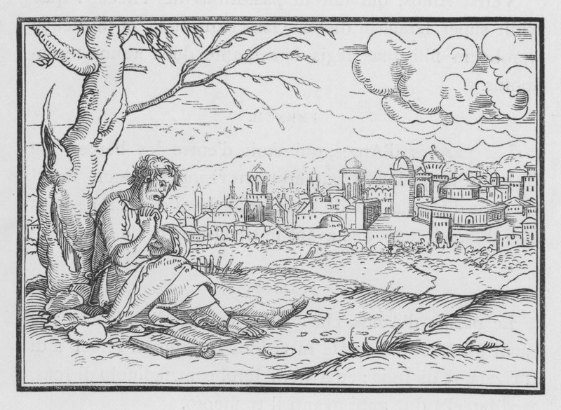 Jonah Repining at Gods Mercy, Jonah IV, 5 af Hans after Holbein the Younger