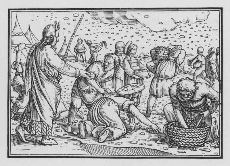 Israelitterne knurrer af mangel på brød, Anden Mosebog XVI, 4 af Hans after Holbein the Younger