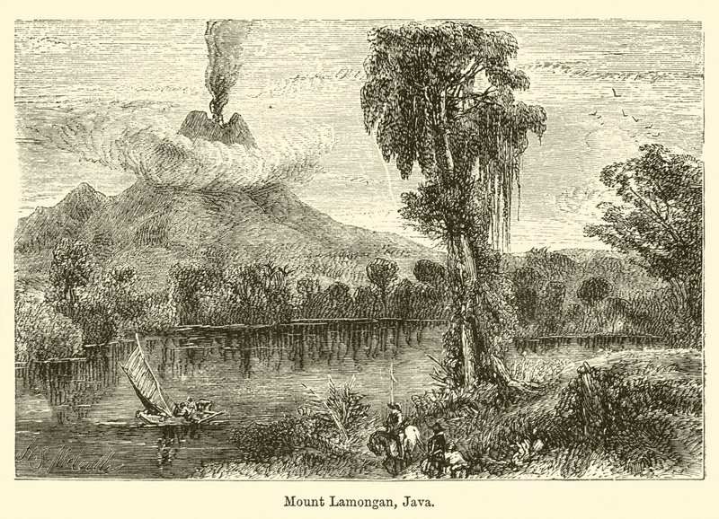 Mount Lamongan, Java af Harden Sidney Melville