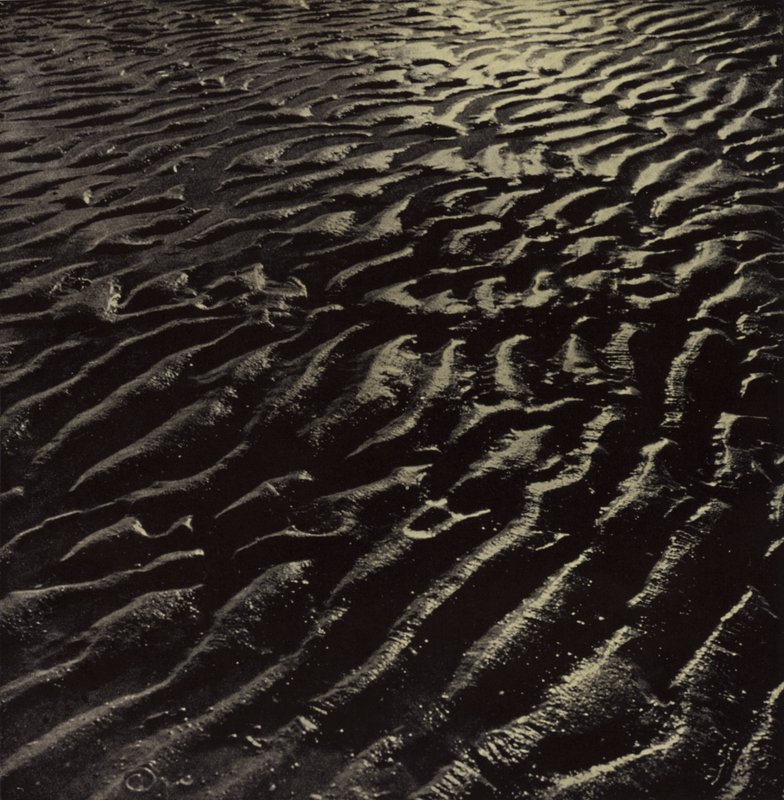 det ribbede hav-sand, Coleridge (s/h foto) af Harold Burdekin