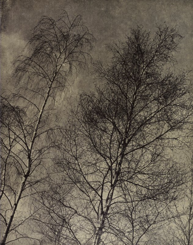 deres charme er skrevet langs en flydende himmel, Robert Bridges (s/h foto) af Harold Burdekin