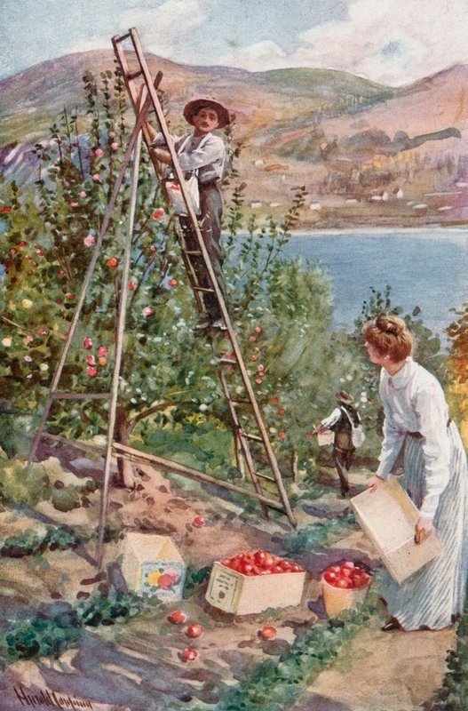 En frugtranch i Nelson, British Columbia af Harold Copping
