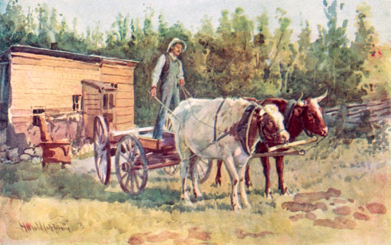 En ungkarls hytte og hans oksesteg af Harold Copping