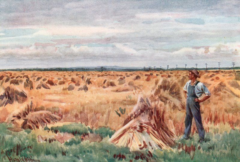 Langs Manitobas hvedemarker af Harold Copping