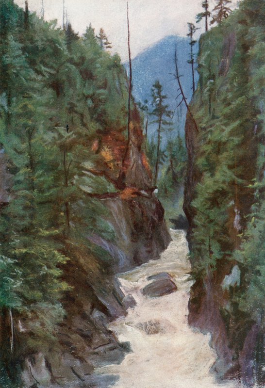 Capilano Canyon, nær North Vancouver af Harold Copping