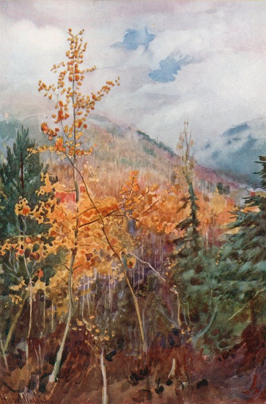 På en bjergside nær Nelson, British Columbia af Harold Copping