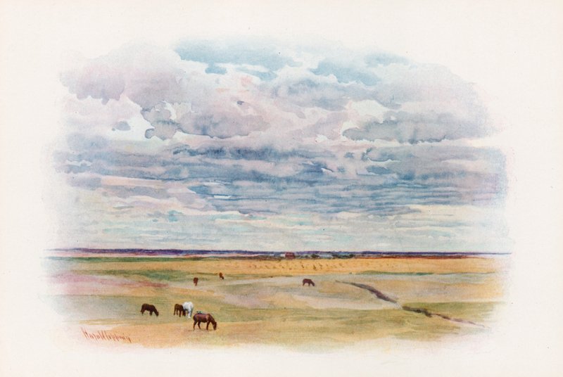Prærien i Elstow, Saskatchewan af Harold Copping