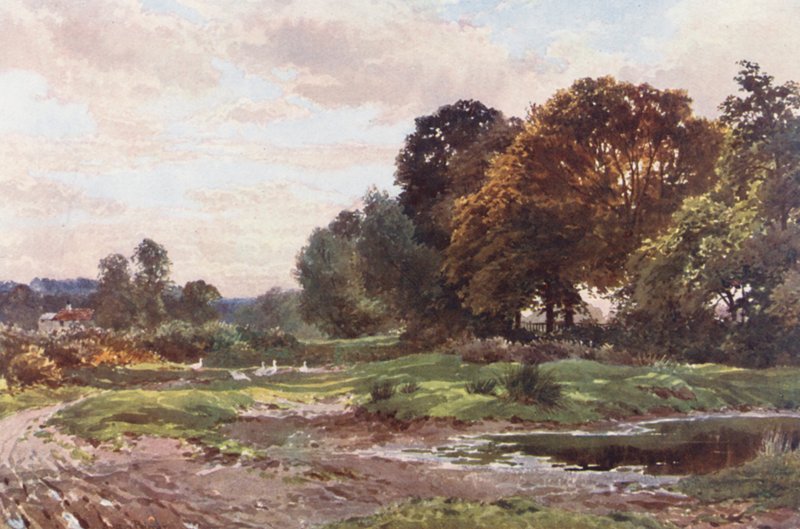 Et hjørne af Esher Common (farvelitografi) af Harold Sutton Palmer