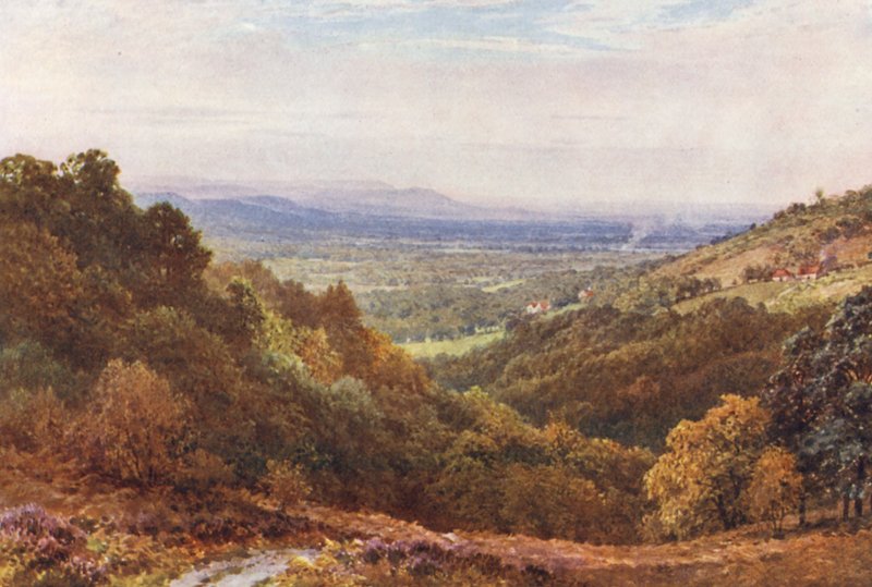 A Wide Stretch, fra Gibbet, Hindhead (farvelitografi) af Harold Sutton Palmer