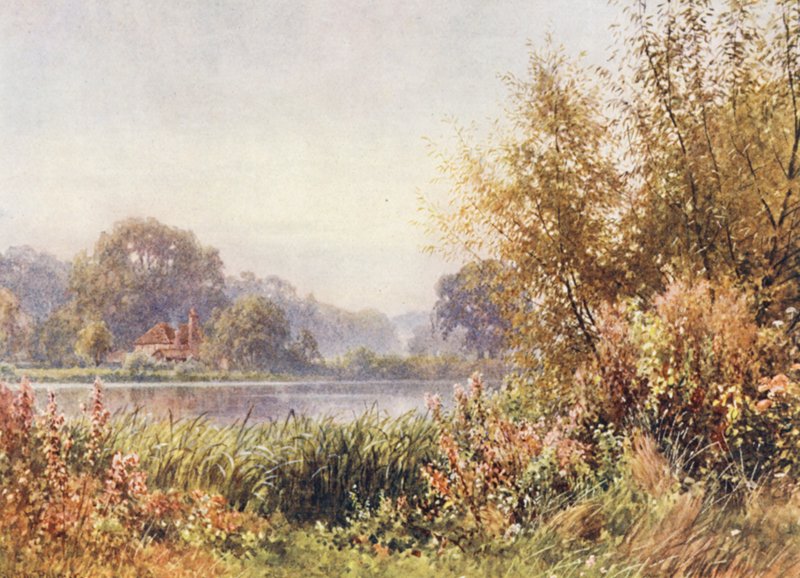 Efterårsukrudt, Chilworth (farvelitografi) af Harold Sutton Palmer