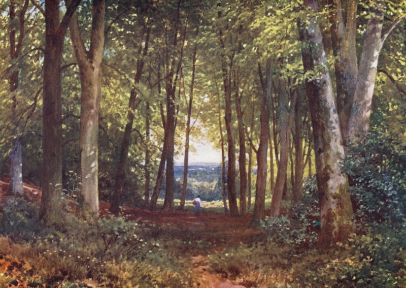 Deer-Leap Wood, Wotton (farvelitografi) af Harold Sutton Palmer