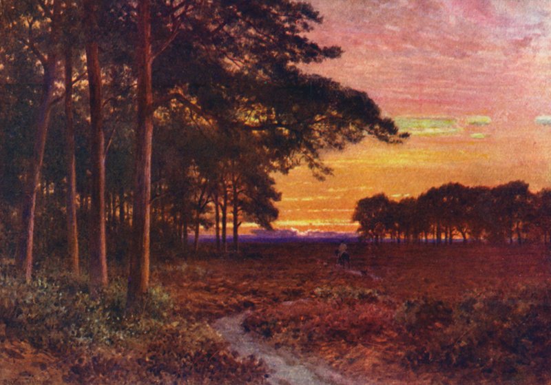 Aften på heden, Hindhead (farvelitografi) af Harold Sutton Palmer