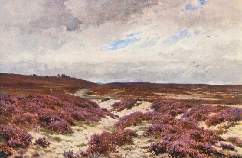 Frensham Common (farvelitografi) af Harold Sutton Palmer