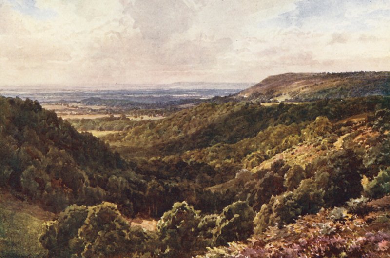 Fra bakkerne over Peaslake, nær Gomshall (farvelitografi) af Harold Sutton Palmer