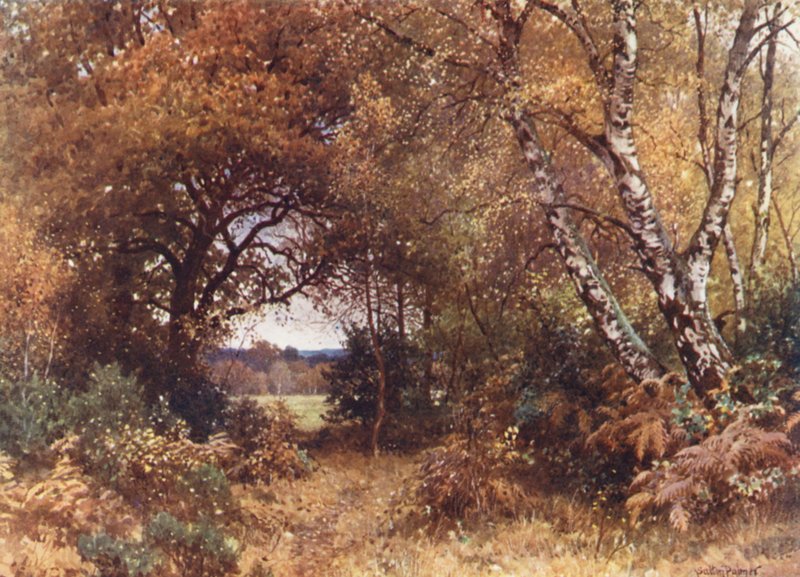 Kanten af en skov, Royal Common (farvelitografi) af Harold Sutton Palmer