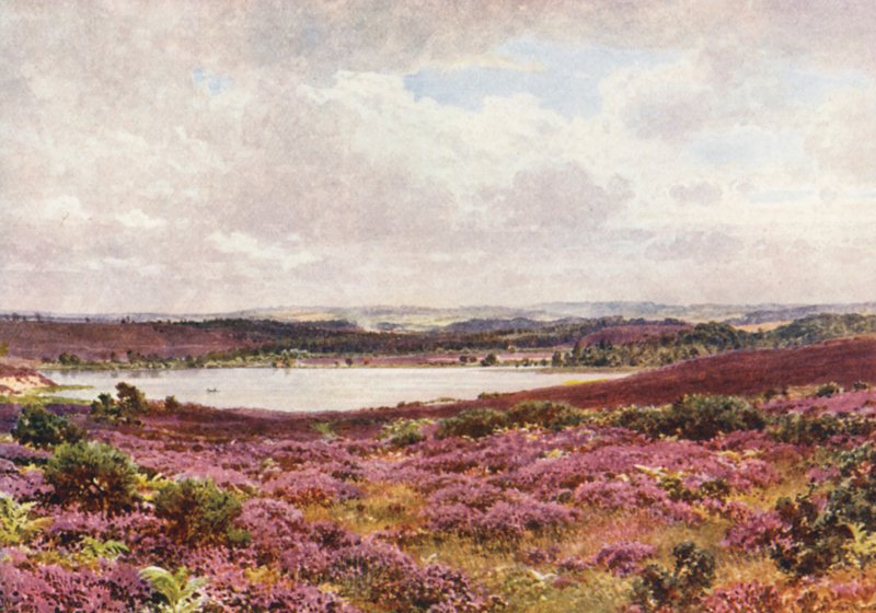 Den store dam, Frensham (farvelitografi) af Harold Sutton Palmer