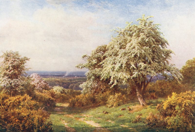 The Pride of Spring, Newlands Corner (farvelitografi) af Harold Sutton Palmer