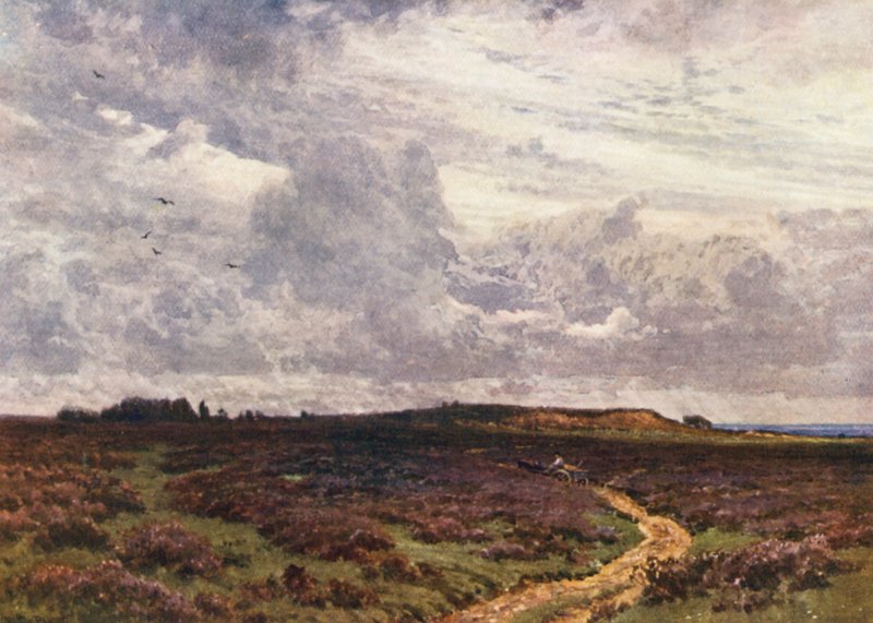 The Sandy Road, Milford Heath (farvelitografi) af Harold Sutton Palmer