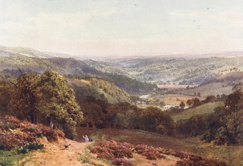 Albury-dalen, fra St Martha