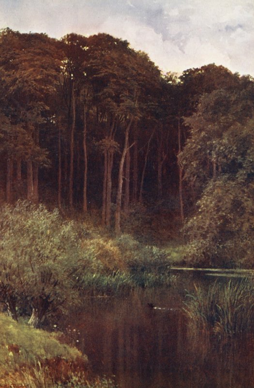 Woodland Depths, Wotton (farvelitografi) af Harold Sutton Palmer