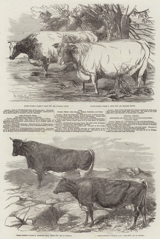 Udstilling af Royal Agricultural Society of England af Harrison William Weir