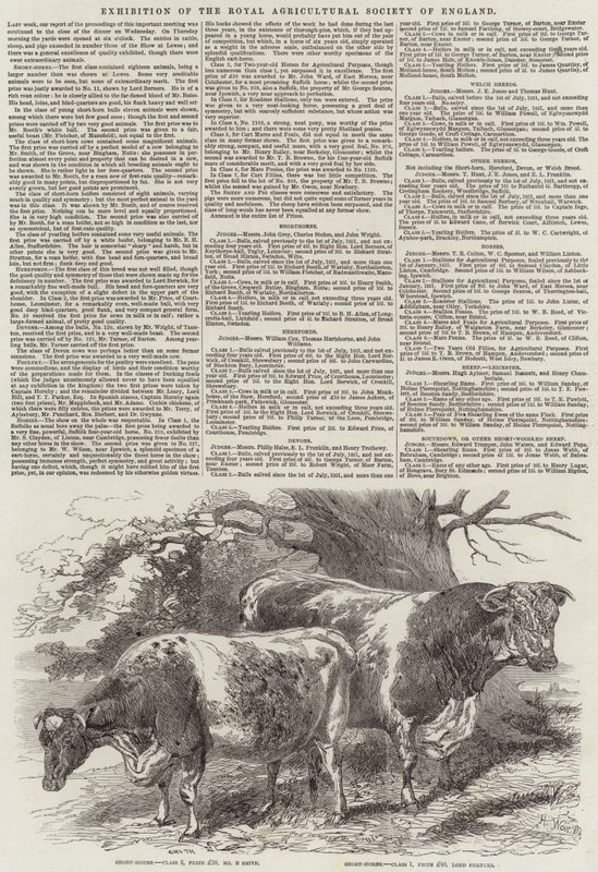 Udstilling af Royal Agricultural Society of England af Harrison William Weir