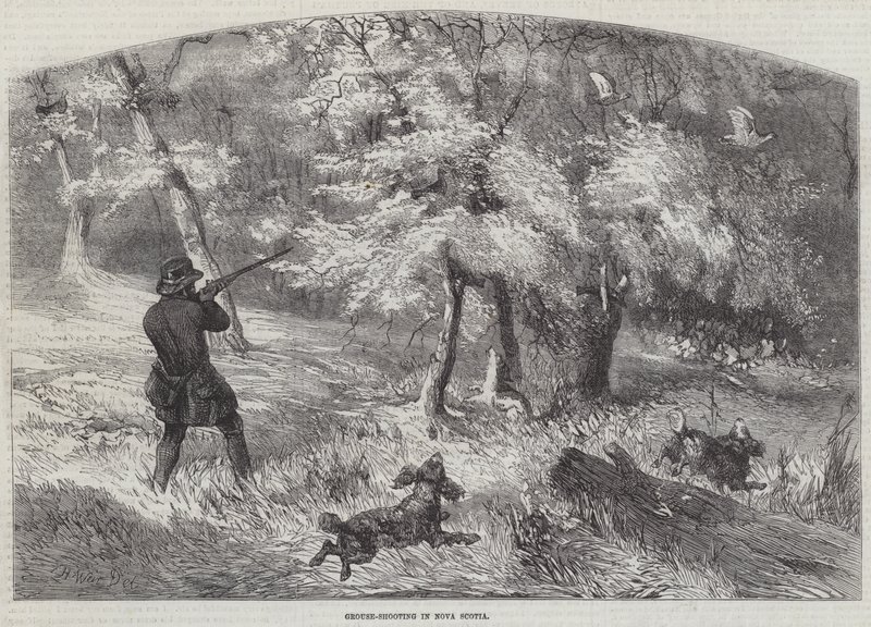 Rypeskydning i Nova Scotia af Harrison William Weir