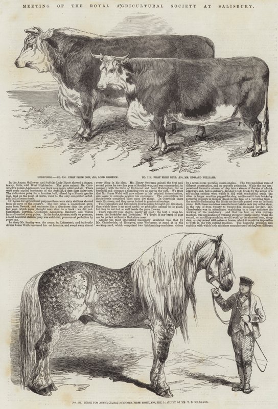 Møde i Royal Agricultural Society i Salisbury af Harrison William Weir