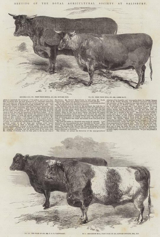 Møde i Royal Agricultural Society i Salisbury af Harrison William Weir
