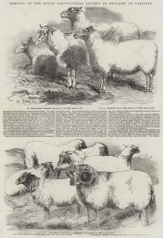 Møde i Royal Agricultural Society of England i Carlisle af Harrison William Weir