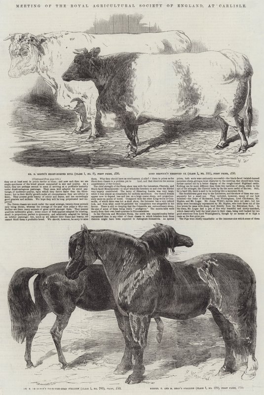 Møde i Royal Agricultural Society of England i Carlisle af Harrison William Weir