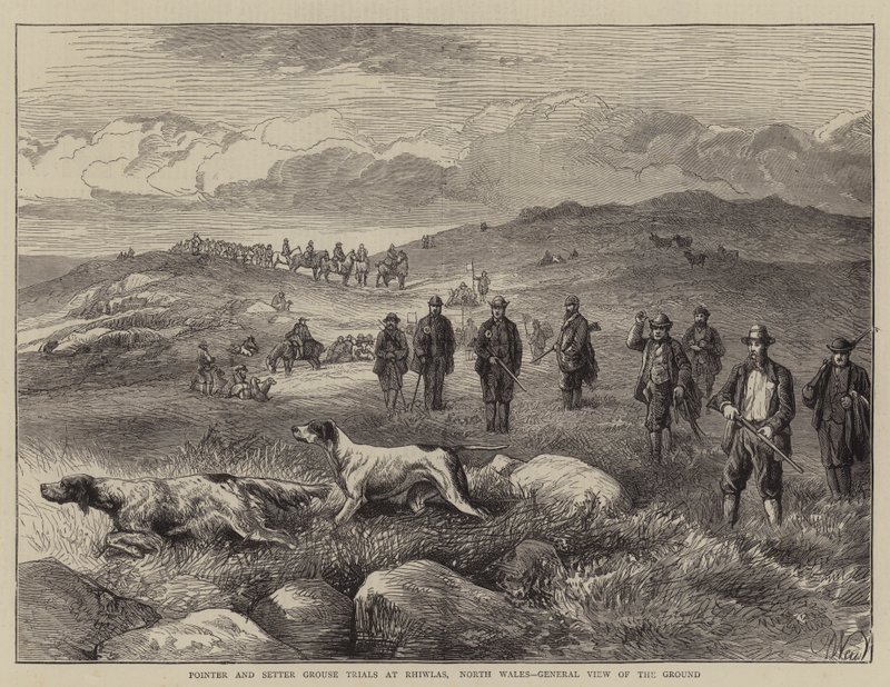 Pointer- og Setter-rypeforsøg ved Rhiwlas, North Wales, General View of the Ground af Harrison William Weir