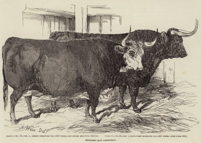 Smithfield Club Cattle-Show af Harrison William Weir