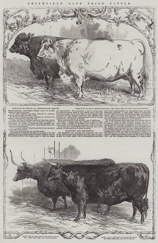 Smithfield Club Prize Kvæg af Harrison William Weir