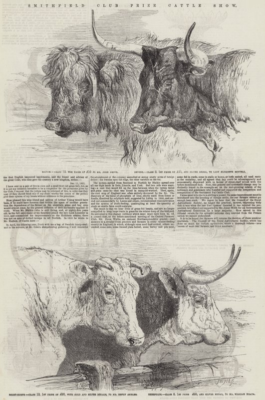 Smithfield Club Prize Kvægudstilling af Harrison William Weir