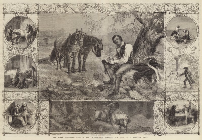 The Burns Centenary, Burns in the Plough-Field komponerer sit digt til en bjergmarguerit af Harrison William Weir