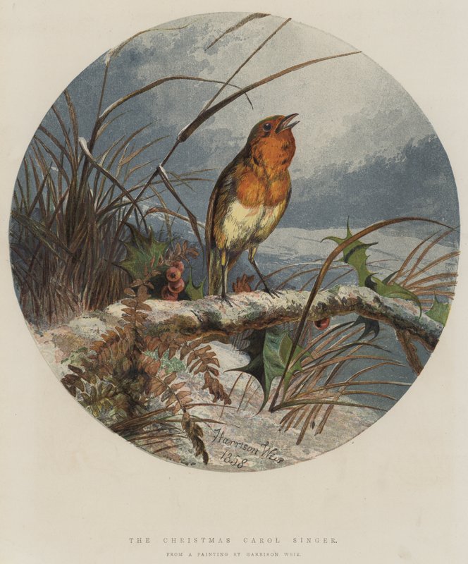 The Christmas Carol Singer (chromolitho) af Harrison William Weir