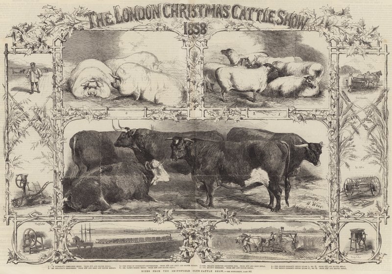 London Christmas Cattle Show i 1858 af Harrison William Weir